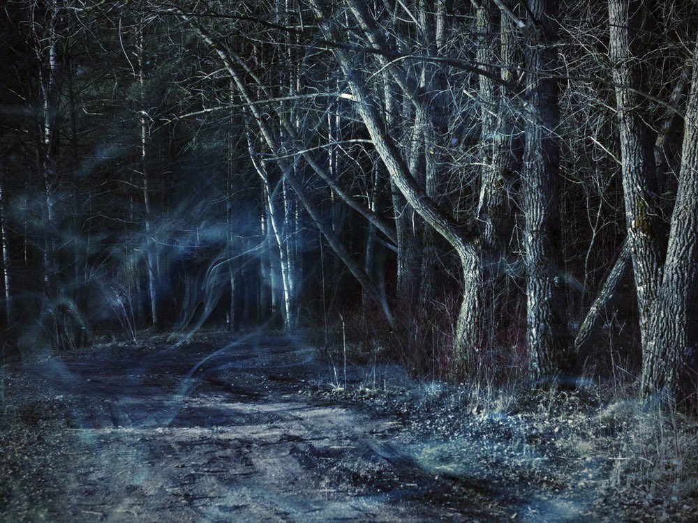 Agent102SW's tweet image. Proof of life? I’m sure that’s perfectly normal mist and totally not another apparition.