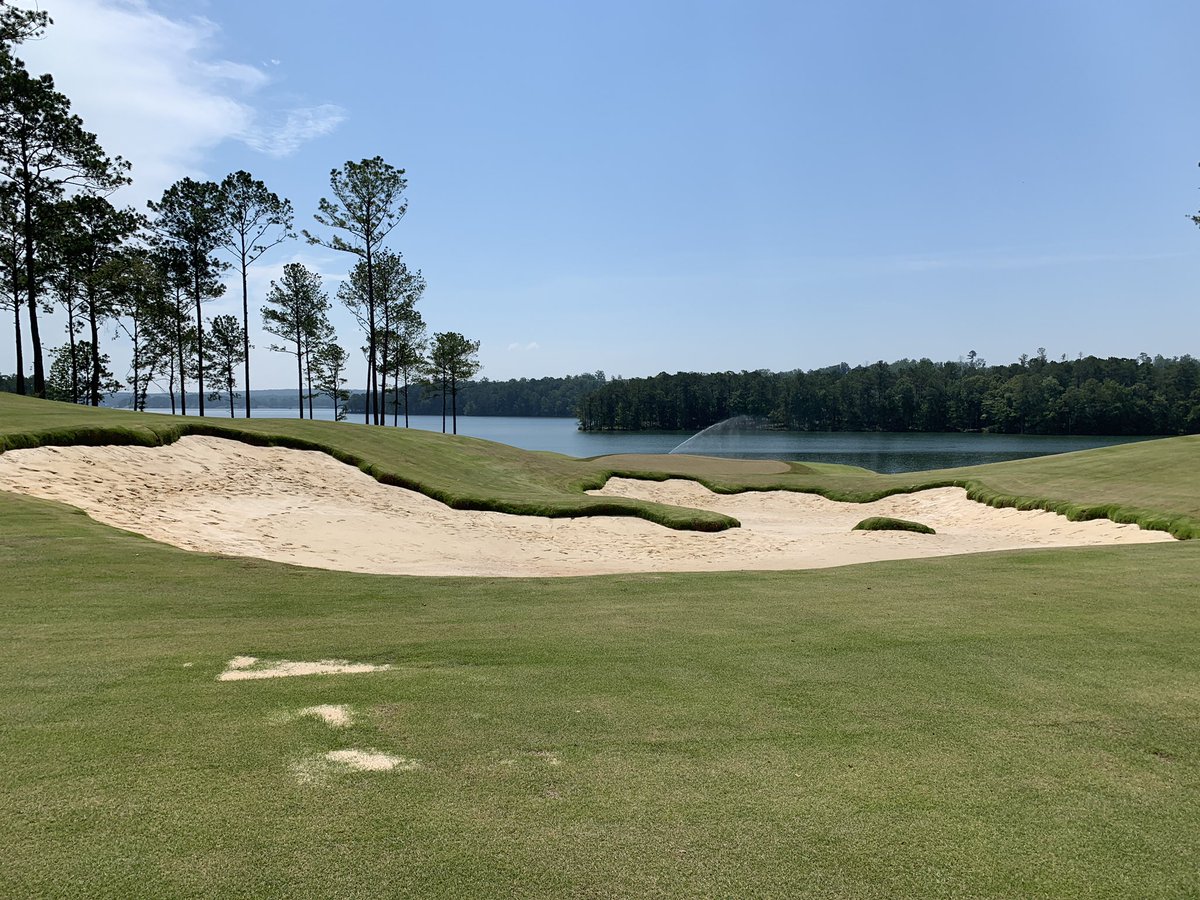 James Morgan tweet media