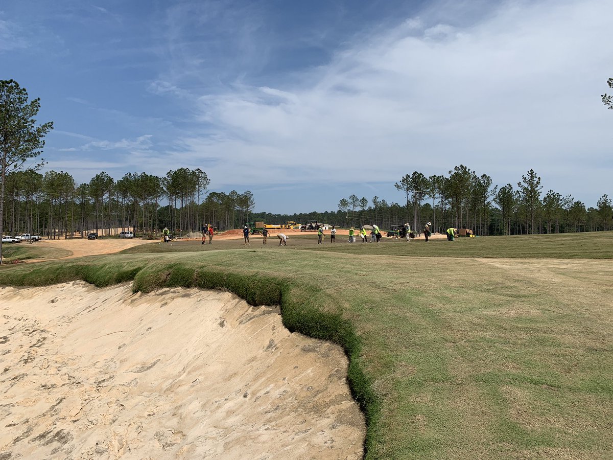Sprigging the first set of greens this morning
