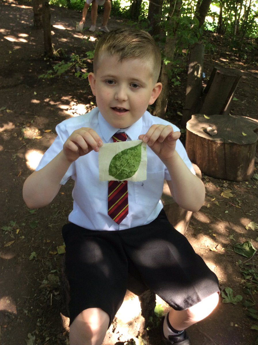 Mrs_AJones's tweet photo. Leaf bashing is such good fun, and not a single person bashed their thumb! Great results everyone! @FibParkAcademy https://t.co/OLugOBmiff