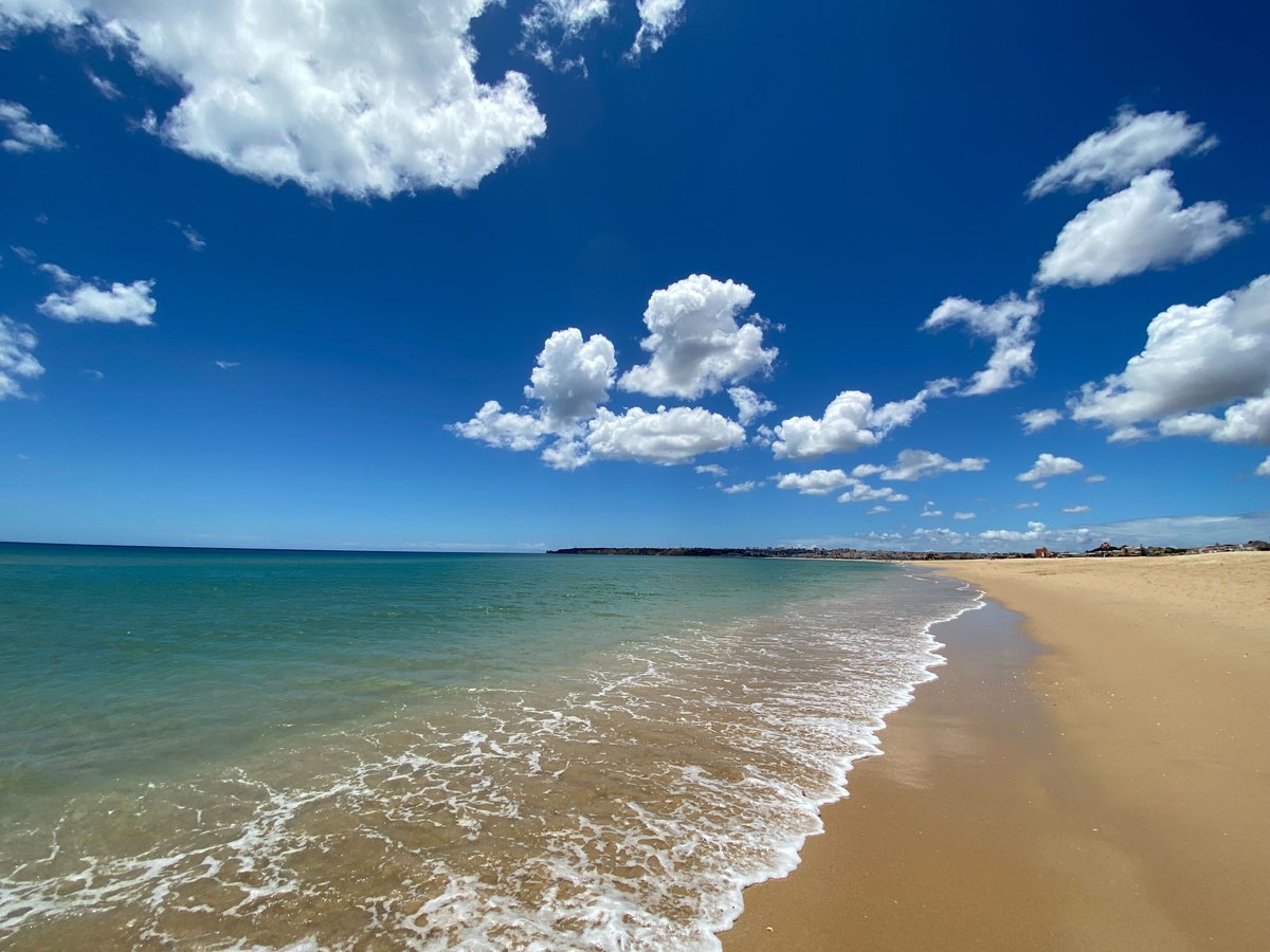 Coalition tweet media