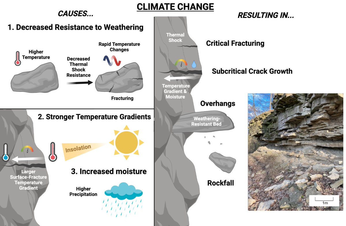 Henry Gage tweet media