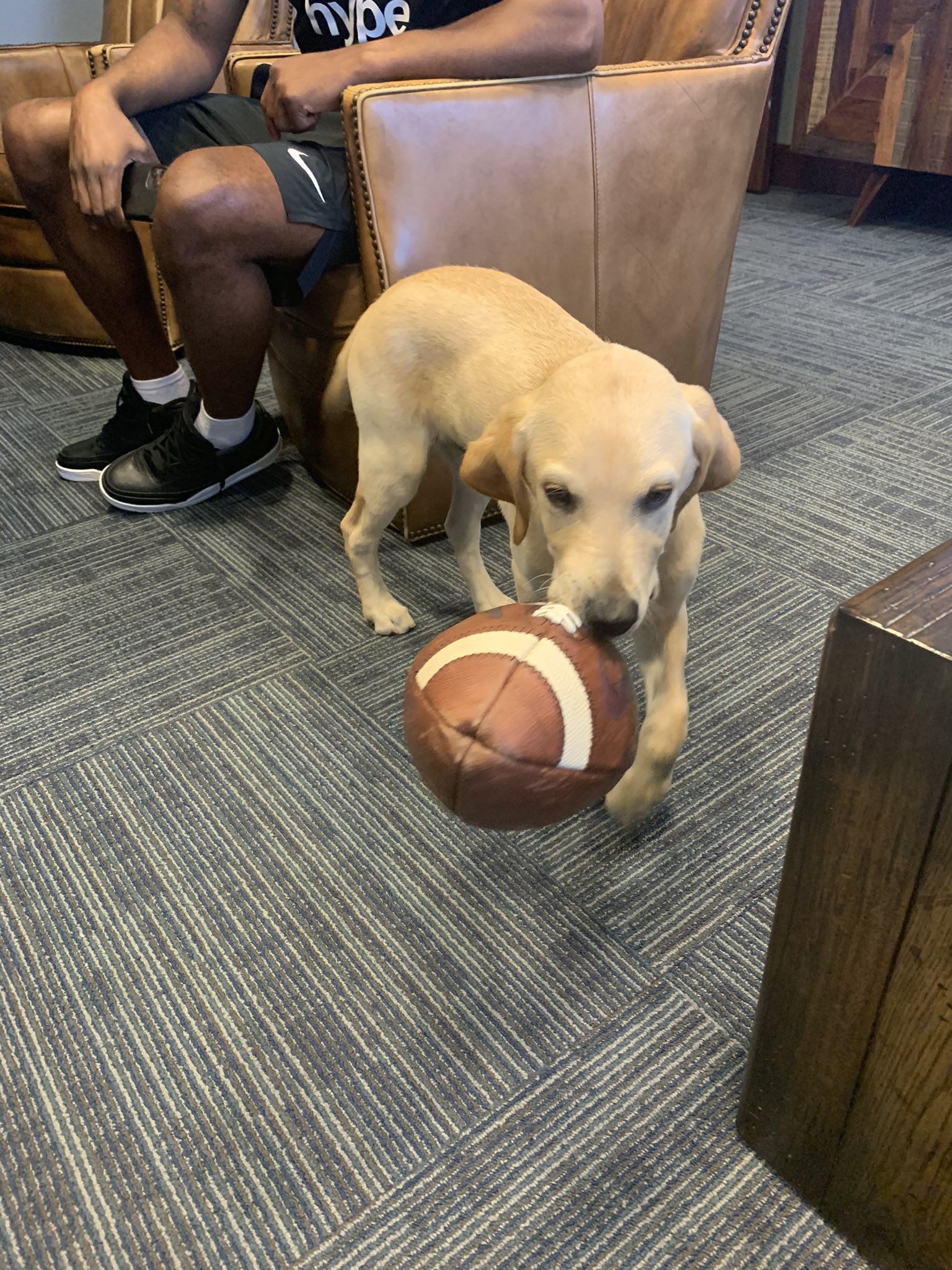 Juice Kiffin on Twitter "Ball security is job security https//t.co