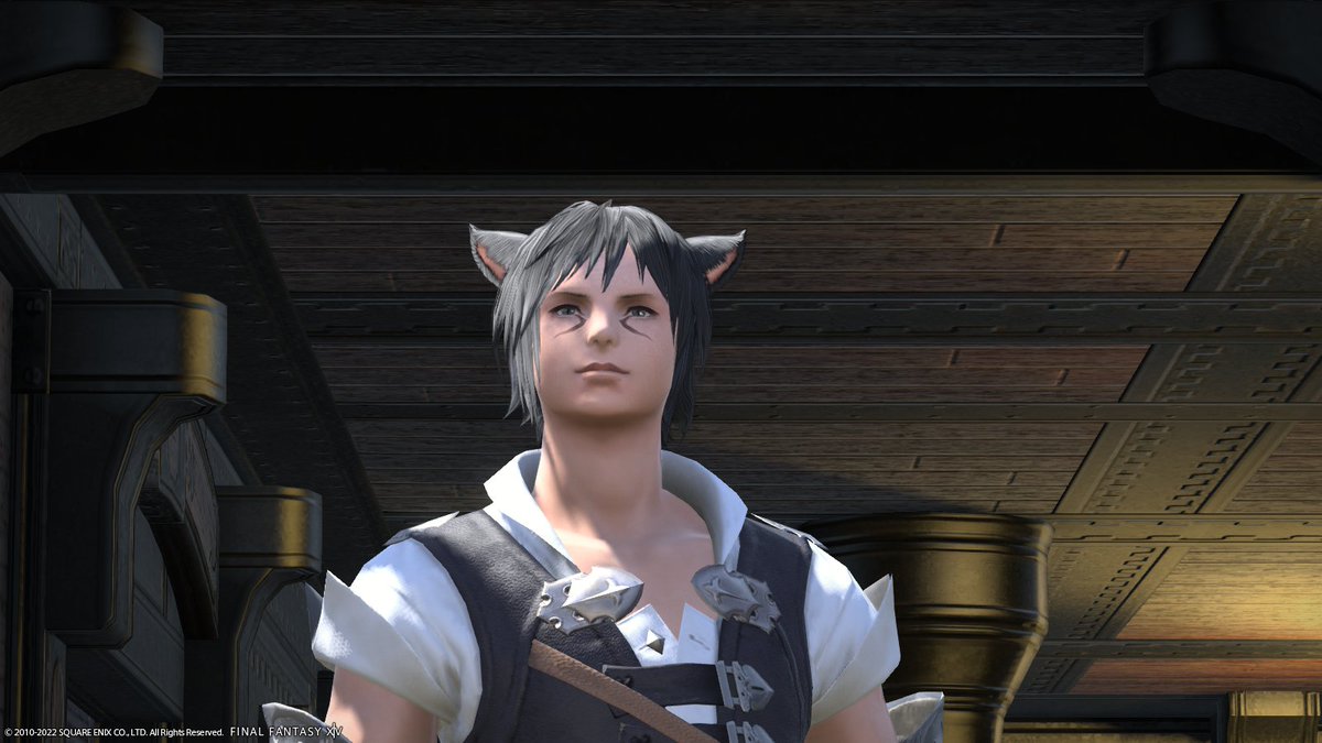 Roboloid's tweet image. #FFXIV 
How it started                 How it&apos;s going