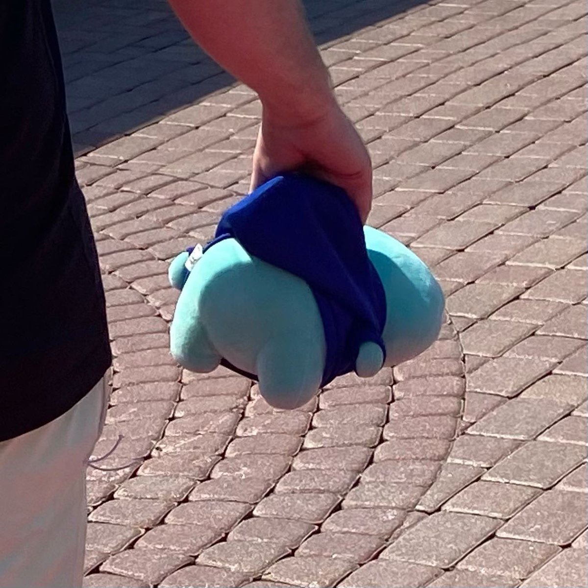 The right way to hold Kou ✨