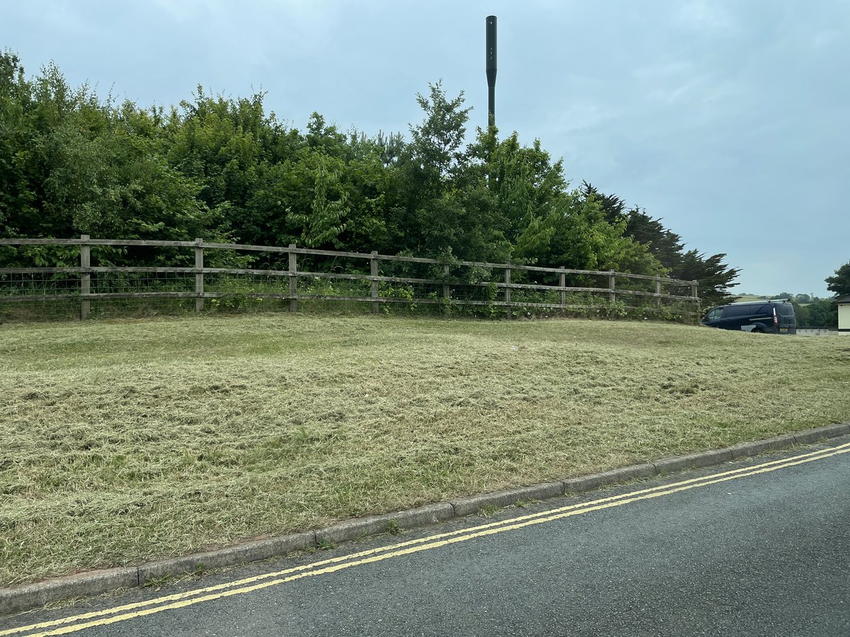 seb_loram's tweet photo. @CFGSBirds @Torbay_Council @CFGS @Torbay_Council or not!! Shocking, totally unnecessary. @NaturalEngland @CFGSBirds https://t.co/opnXEmg6K4