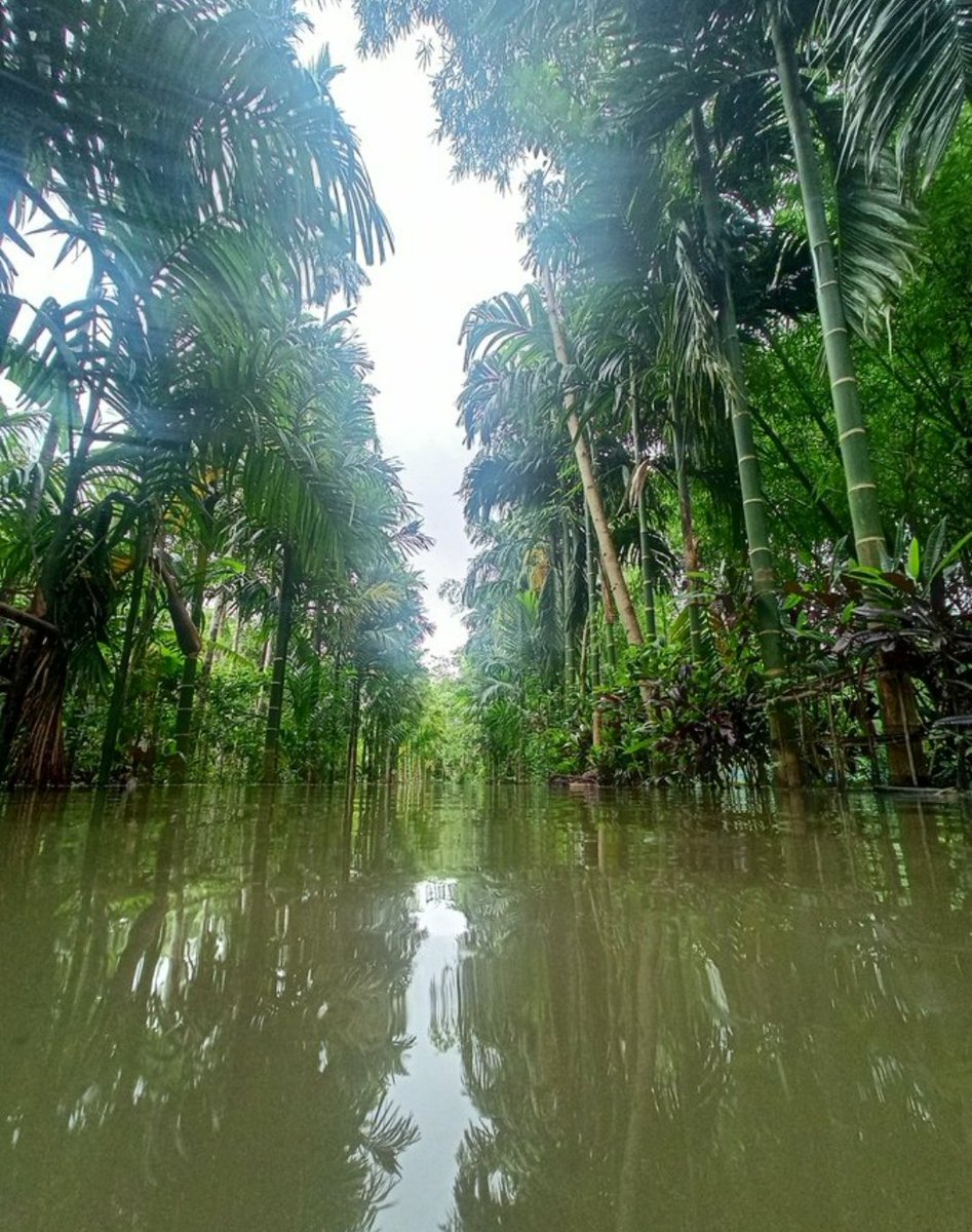 yuvrajsingh2810's tweet photo. Assam was reeling under floods for the last 2 weeks but none of the mainstream media and politicians tweeted about it.
Assam really need our help.
#westandwithassam
#AssamFloods
#assamrains
@ANI
@MoRD_GoI
@timesofindia https://t.co/uKbnxiCtAo