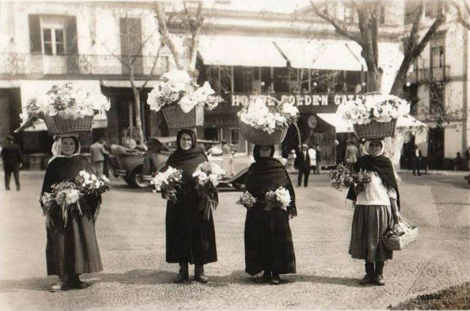 Madeira Quase Esquecida tweet media