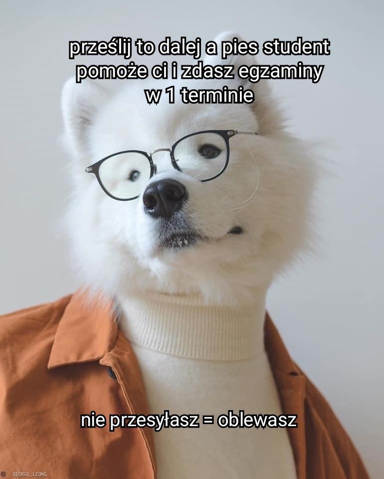 oopsmypayno's tweet photo. Mam nadzieję,  że to ja rozwalę przyszłe egzaminy a nie one mnie 🤞🏻 https://t.co/TClfDYcry6