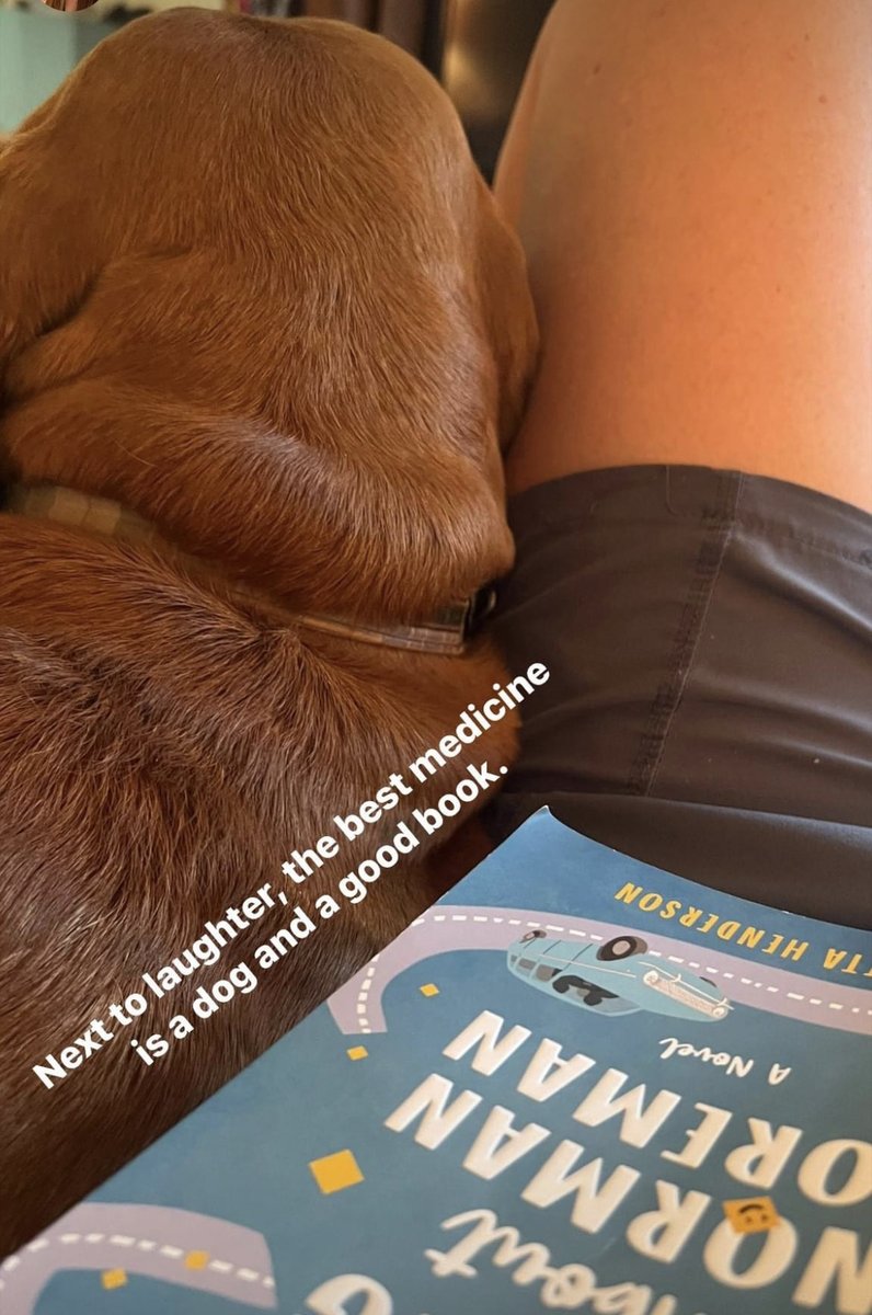 HempLively's tweet photo. A great night is Delta-8, your pup and a good read. Use coupon code MEDICINE to save 20% https://t.co/5oVrmqx5KM

#cbd #hemp #delta8 #cannabis #love #instagood #fashion #photooftheday #beautiful #art #photography #happy #delta9 #HHC #D8 #D9 #hempgummies #delta8gummies #d9gummy https://t.co/qZvFVJB7mi