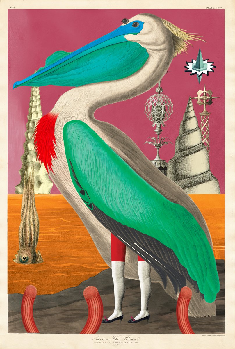 Birds of Sōlis — Migrating to ETH ☀️ tweet media