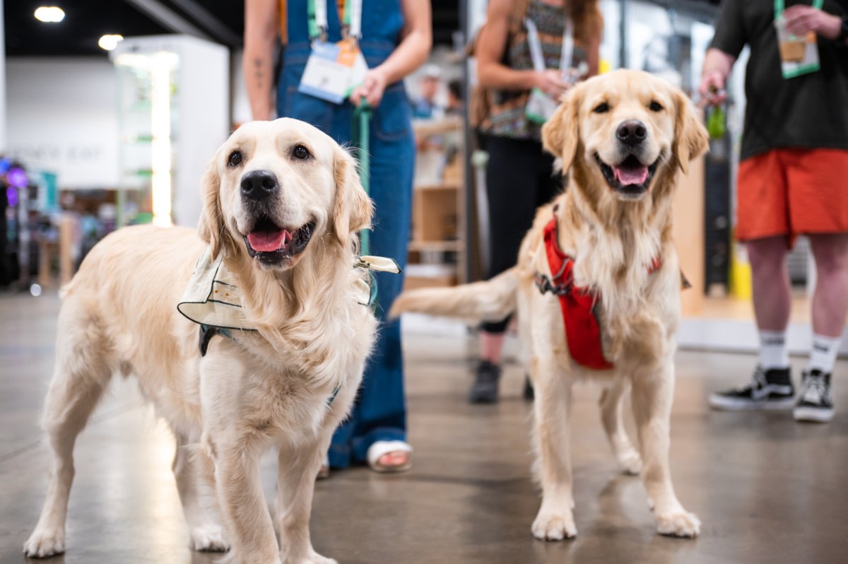 OutdoorRetailer's tweet photo. A round of a-paws for our favorite show attendees. 👏🏼👏🏽👏�� Thank you to our furry friends for the joy and smiles!

#dogsofOR https://t.co/4i7vO69AWq