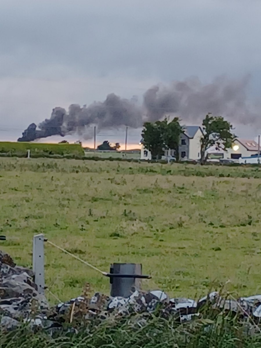 Catherine Murphy tweet media