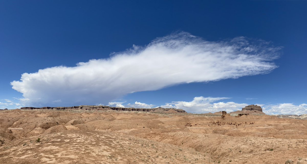 Lina Boljka tweet media