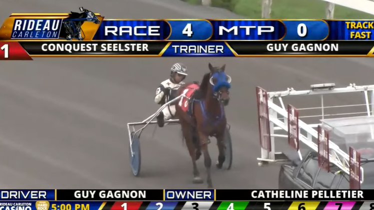 TheTriactor's tweet photo. #AllBetsOff son Conquest Seelster leads post parade of the first 2022 @RideauCarleton two-year-old race. https://t.co/ZnfMFDtDRi