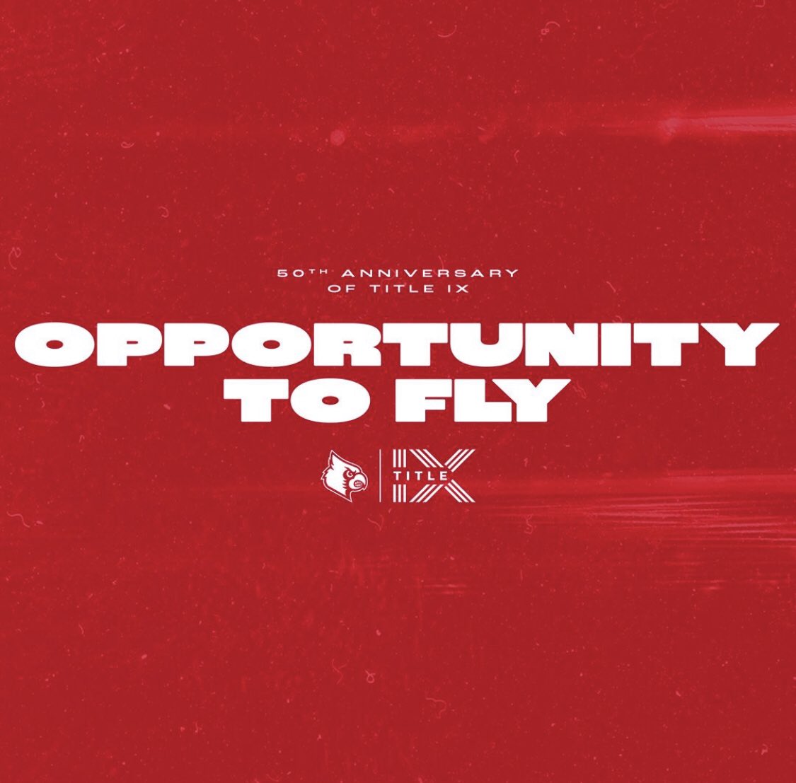 Celebrating 50 years of strong, resilient women paving the so all have an opportunity. Now, we get to set the standard and guide the next generation.

#GoCards | #TitleIX