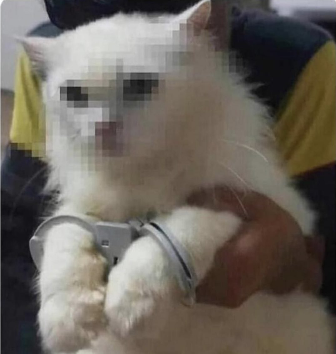 Yo cuando estoy rumbeando y llega la policía, como si fuera menor de edad o estuviera haciendo algo ilegal. Panic attack