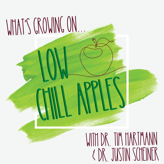 Howdy &amp; Happy Thursday! Here is what you need to know:
🍏 What's Growing On with Low Chill Apples
🍎 Dr. Tim Hartmann &amp; Dr. Justin Scheiner 
🍏 TOMORROW, Friday, June 24, 2022 at 1:00 pm CST
🍎 Aggie Horticulture Facebook Page