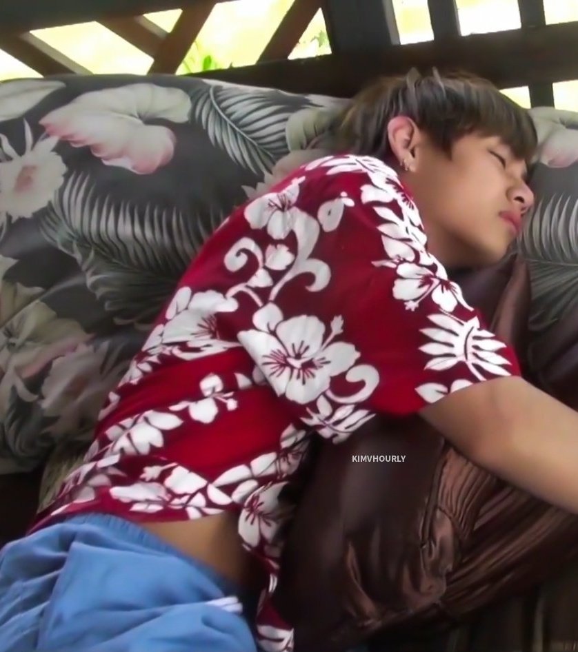 thvwaist's tweet photo. tete sleeping https://t.co/a4fihCUTJu