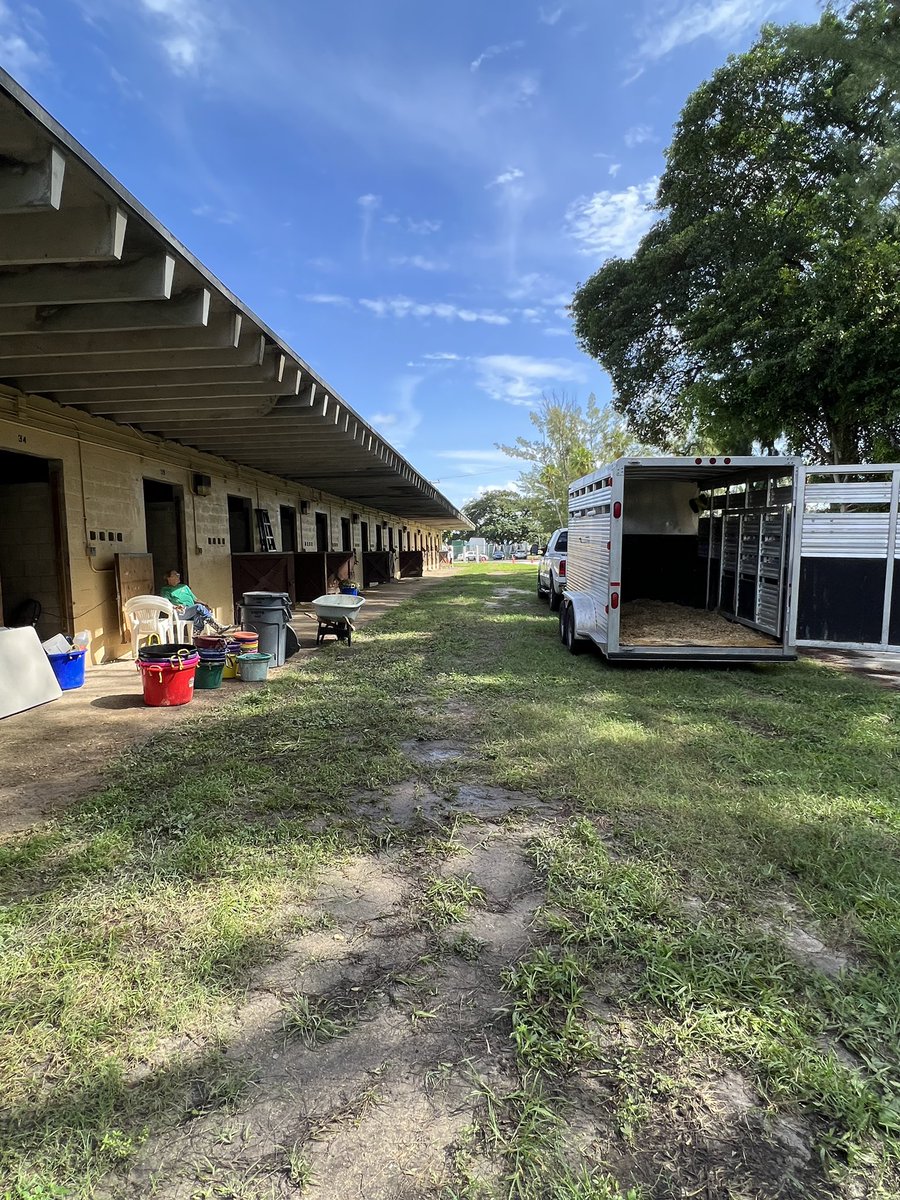 South Florida SPCA tweet media
