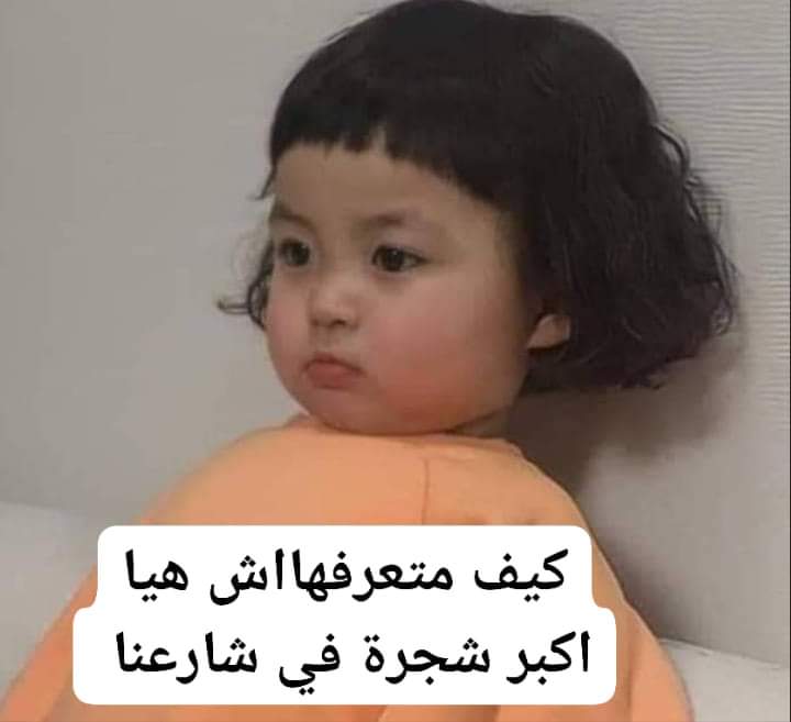 لما يقلولي أعطـي الوصف للمنـدوب : 
_ تعـرف الشجـرة لكبيـره ! 
_ لااااااا
😂😂