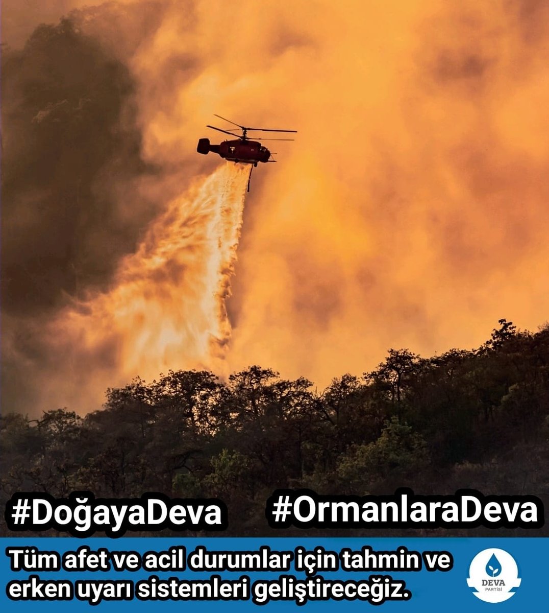 Serpilsavozer's tweet photo. #ormanadeva
#çevreyedeva
#doğayadeva
#DevaAlibabacan https://t.co/5ulPUvRreH