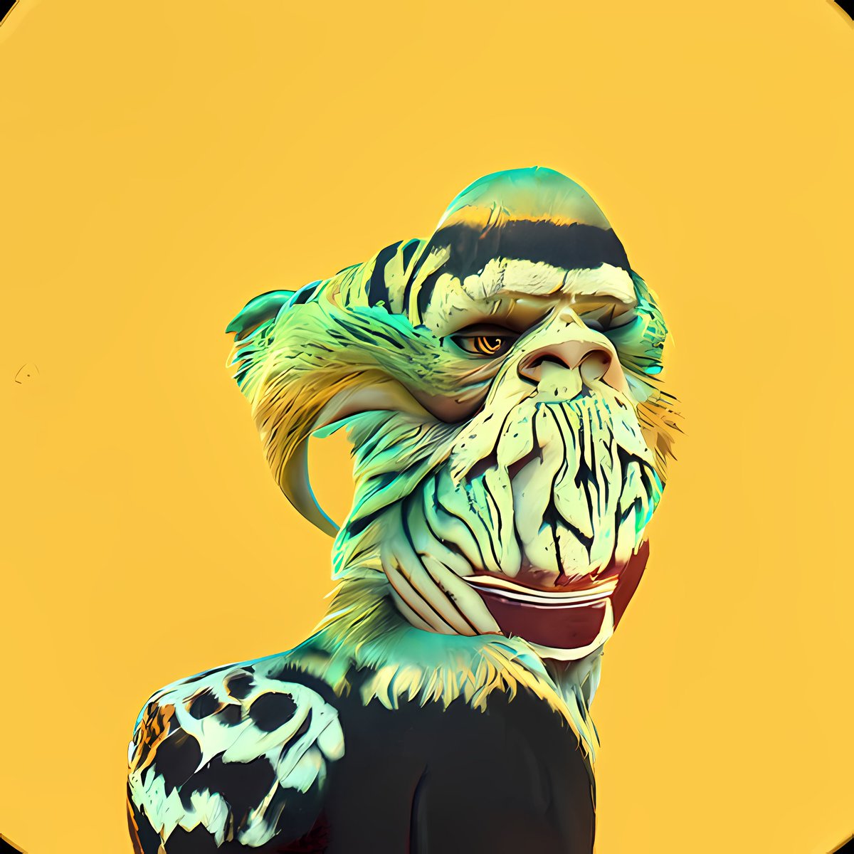 Bernardo tweet media