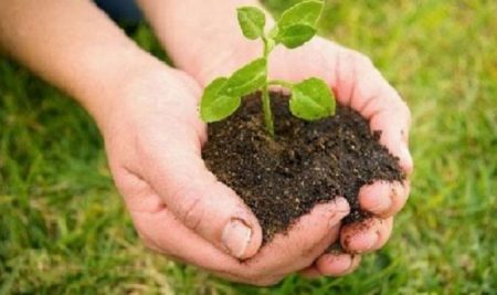 Empresa Agroforestal Matanzas (@agrofor2empresa) on Twitter photo 