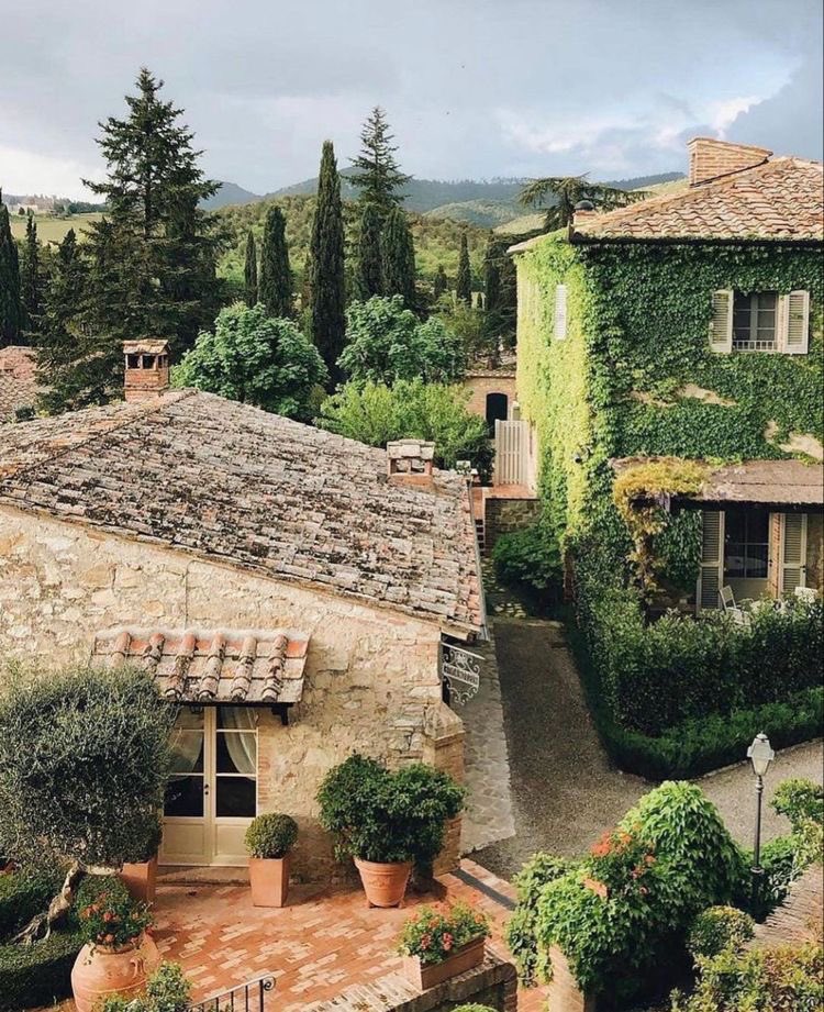 lavitalenta tweet media