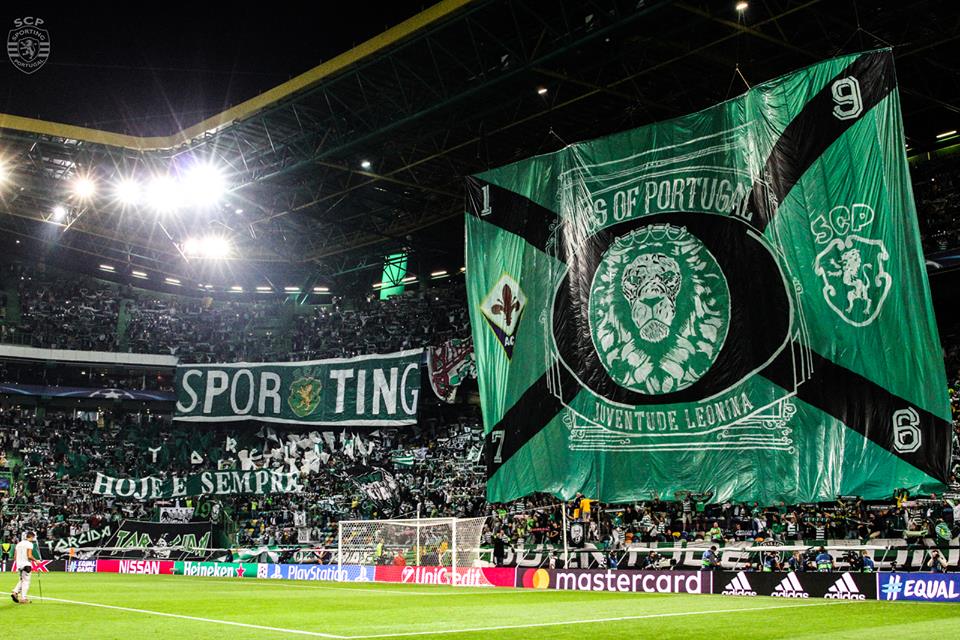 afonso_acc's tweet photo. A melhor curva do mundo voltou💚 https://t.co/8dfZnYZJOp