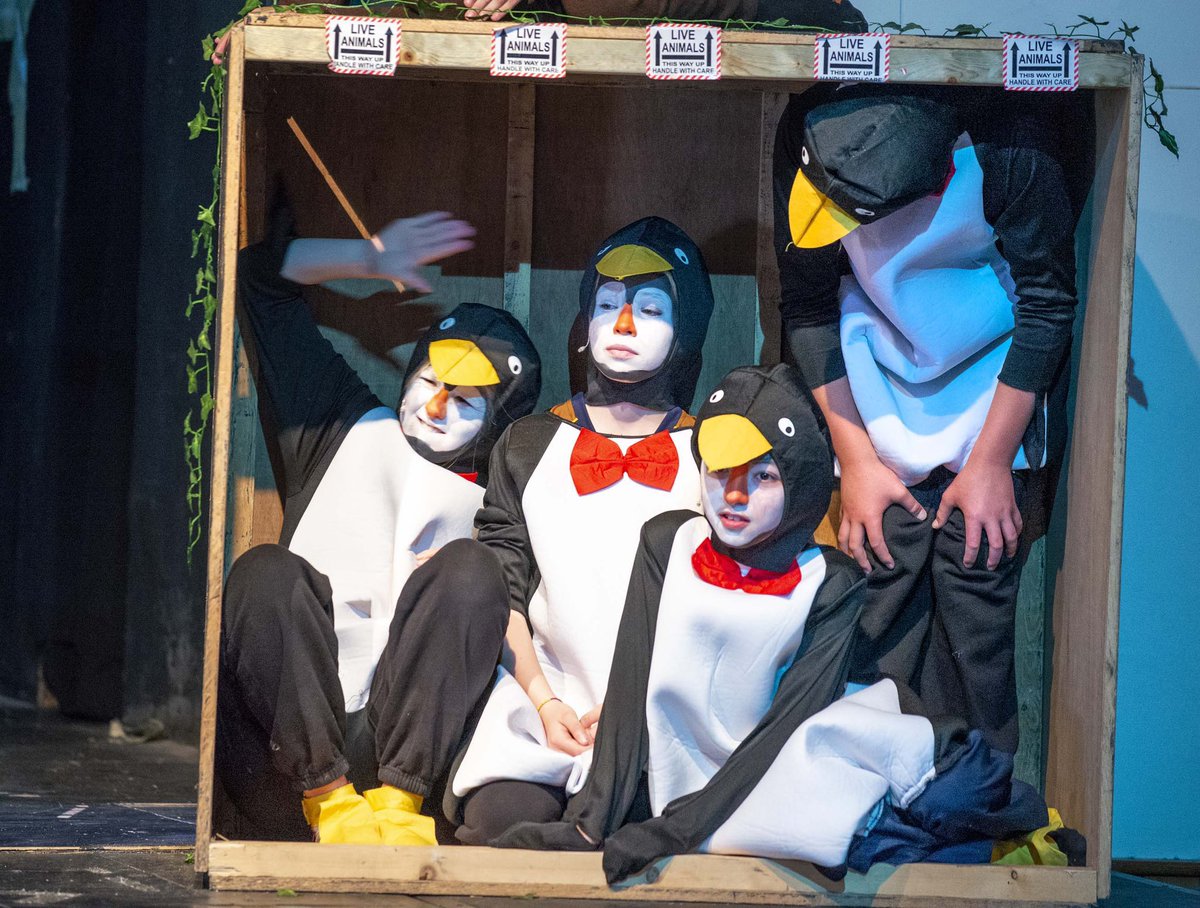 SedPrepArts's tweet photo. Opening night! 🌟🎭🎬
Congratulations everyone!!! 🤩

Performance no. 2 tomorrow night! #itsshowtime 

📸 Steve Cooling 

@SedPrepMusic 
@Cressbrook_Sed 
@Beale_Sedbergh 
@Sedbergh_Prep 

#performingarts 
#Madagascarjr 
#musicaltheatre https://t.co/5qH4hLyvtO