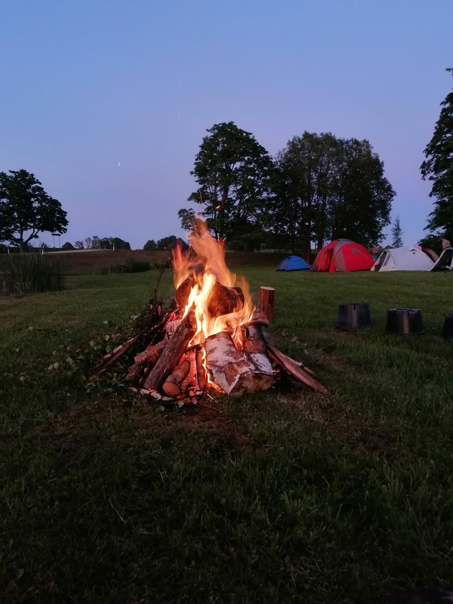 NatyreWolf's tweet photo. Happy summer solstice ☀️ https://t.co/K387vr0s87