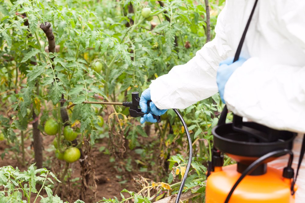 economisiones's tweet photo. #LaChacra Tiene dictamen el proyecto de ley que prohíbe el uso de glifosato en las chacras de Misiones https://t.co/md0eOCHQED https://t.co/dKFlIXo6GX