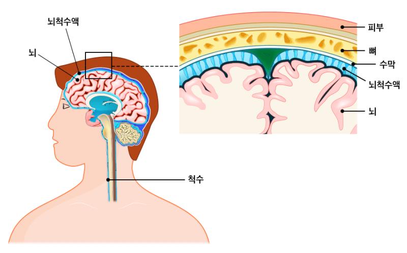 내 딸이 뇌수막염과 심근경색 간염과 백혈구감소증으로 인한, 뇌신경교란행위에,  모씨의 착시로 감금되어, 하루 22시간 자게 되어, 췌장염,  퍠섬유화증으로  식물인간화 되어가는 중 . 아직은 죽지 않았음 .
매일 소고은것 갖다 드리면서 쾌유를 비는 중
