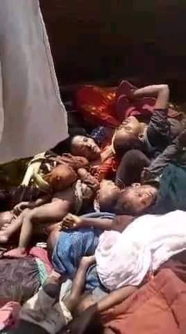kidst_zewdu's tweet photo. #AmharaGenocide in Oromia &amp; Benishangul-Gumuz regions has ethnically cleansed 100,000s of Amhara people over the past 4 years. Oromo Prosperity Party leaders @AbiyAhmedAli &amp; @ShimelisAbdisa must be held accountable for these crimes. @IntlCrimCourt @UNOSAPG https://t.co/u59wzxfTAF https://t.co/JqU0KUZV3b