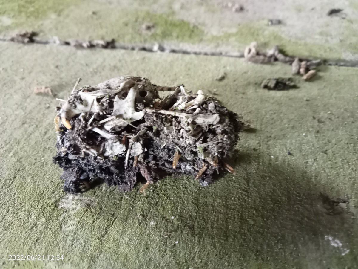 GFAugasGalicia's tweet image. A función ecolóxica da paisaxe vai máis alá da simple interpretación, tamén é clave para os servizos do ecosistema, pero as súas contribucións son pouco coñecidas e raramente recoñecidas.