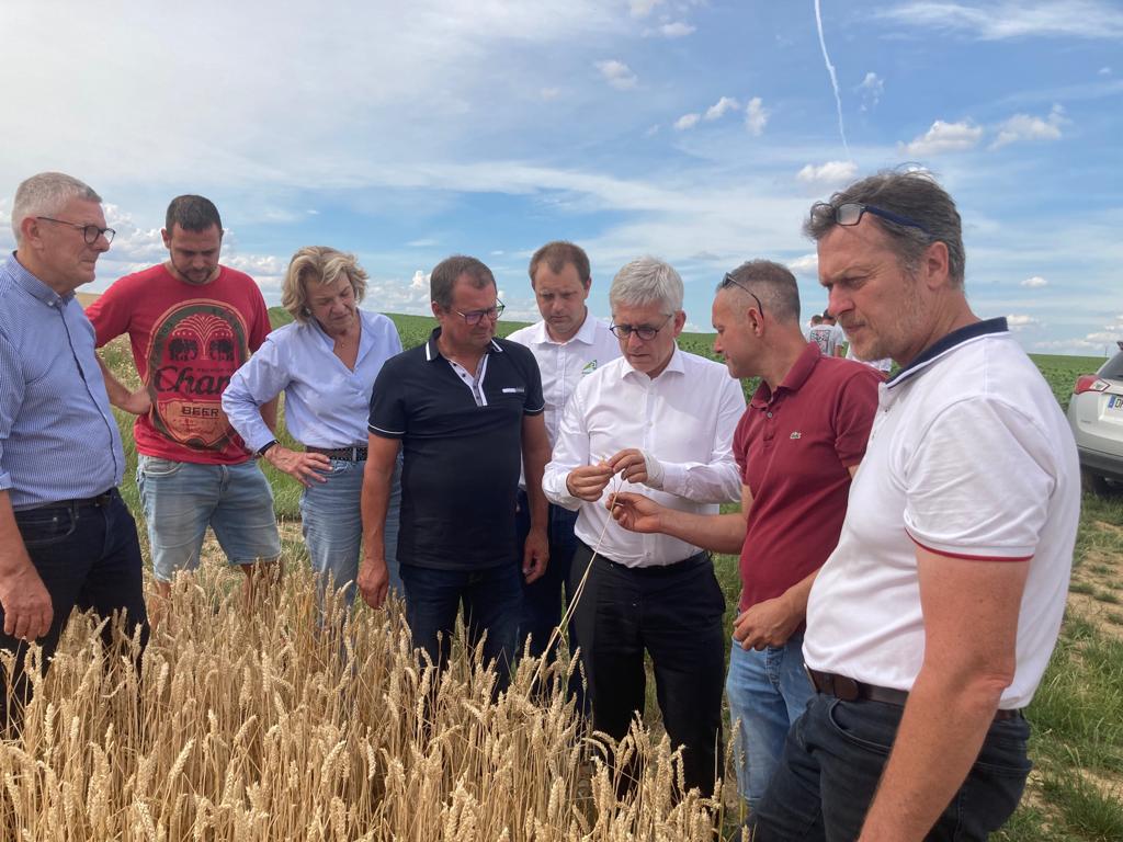 Frédéric Valletoux tweet media