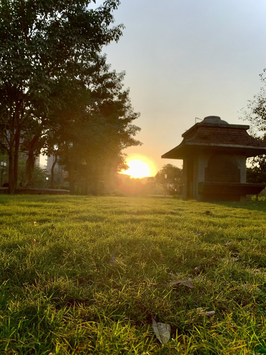 Hello_Niharika's tweet photo. There is no life without soil and no soil without life;they have evolved together.
Everything is a rhythmic union.✨
@cpsavesoil @SadhguruJV 

#SaveSoil #LetsMakeItHappen https://t.co/l1JINiDBA1