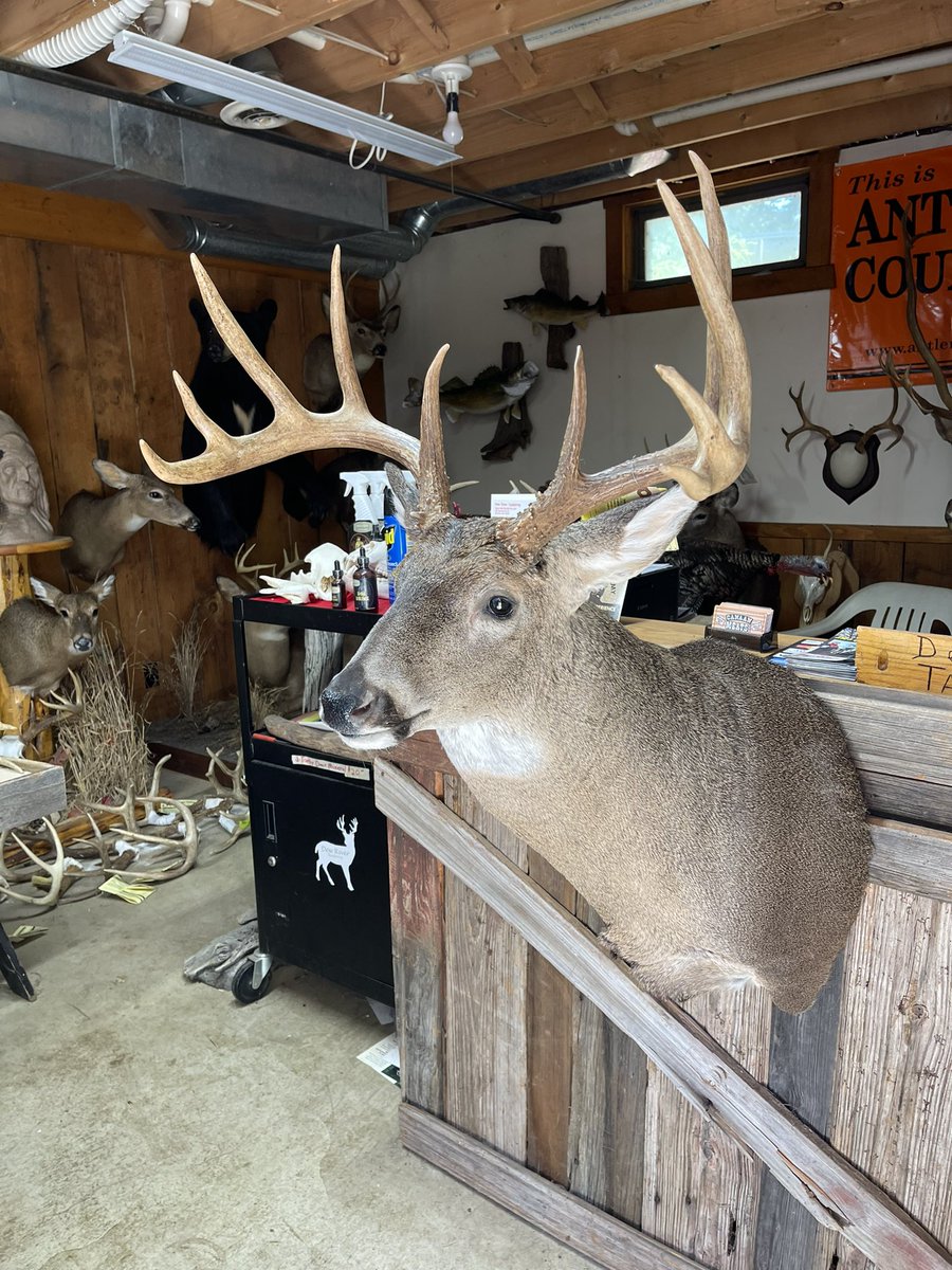 dewriver's tweet photo. Big boy heading home!😎congratulations Dave D. #ohiobuck https://t.co/Vn9d0svMbO