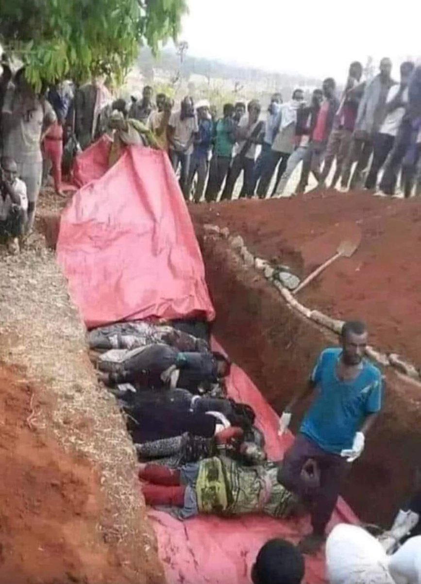 KedirSe09654799's tweet photo. #StopMassacre
#StopKillingCivilians
#AmharaExtermination
@POTUS @BBCWorld @AJEnglish @UN @UNHumanRights @AbiyAhmedAli @cnni https://t.co/oNAQMMkAdE