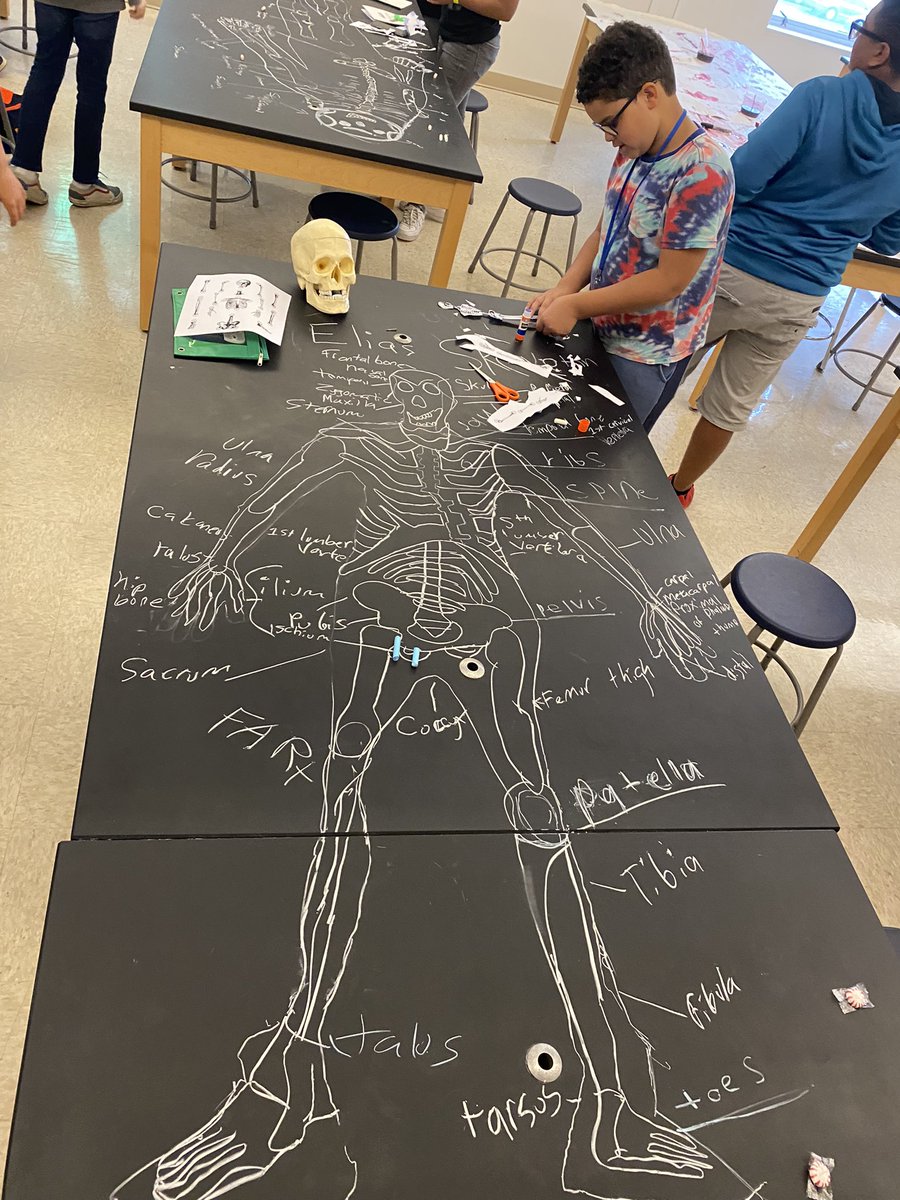 Mr_ Evans_Science tweet media