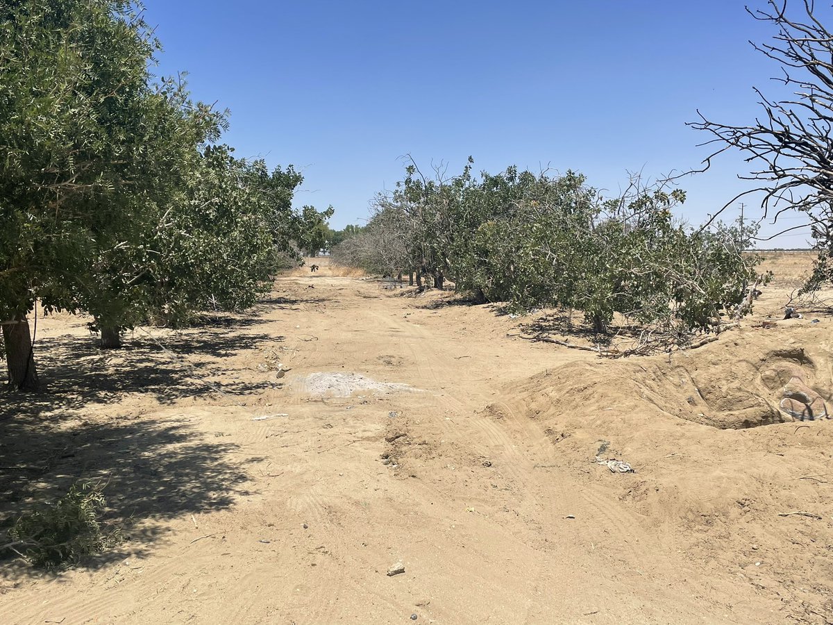 LASDHOST tweet media