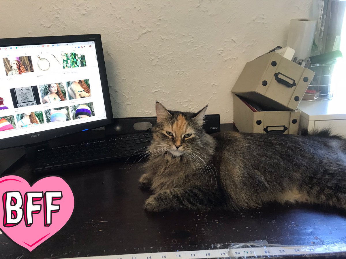 LeafLee6's tweet photo. My cat coworker supervisor is the ideal boss right now, extremely comforting and not pushing me too hard while mourning #leaflees #CatsOfTwitter #Caturday #cats #mainecoon #calico https://t.co/2a2shF4SzR