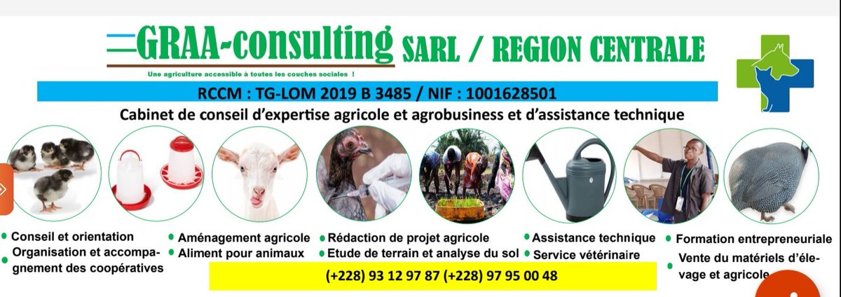 ConsultingGraa's tweet photo. Hi ! Savez vous que #GRAA_CONSUTING SARL est maintenant dans la région Centrale ? 😃😃 
#sokodé
👉📞 : +22893129787 pour nous rejoindre
@TchodieFidel  @fnfi_togo @USEmbassyLome  @Salondelagri  @Pnper_togo @TogoDosi https://t.co/L3iqjhZ1QA