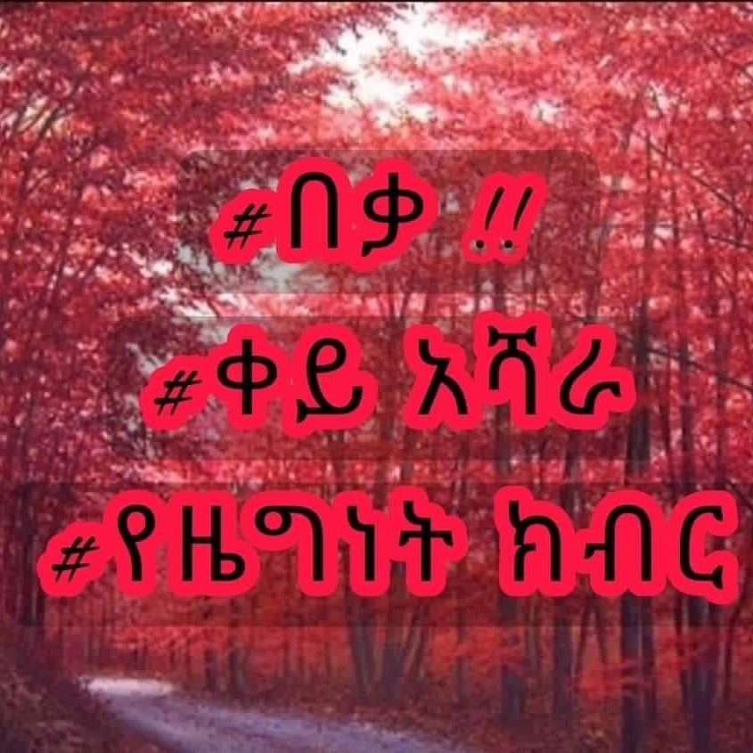 nebil7's tweet photo. #Stopmassacre 
#Stopkillingcivilians
#Amharaextermination
#Honorofcitizenship https://t.co/uNzD5gcf1A