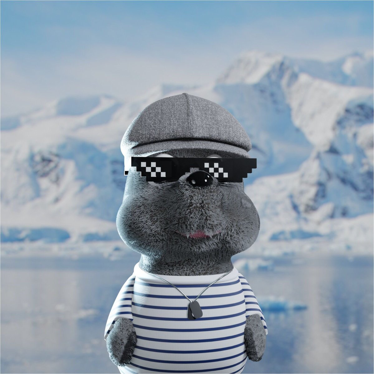 The Seals | Rebranding tweet media