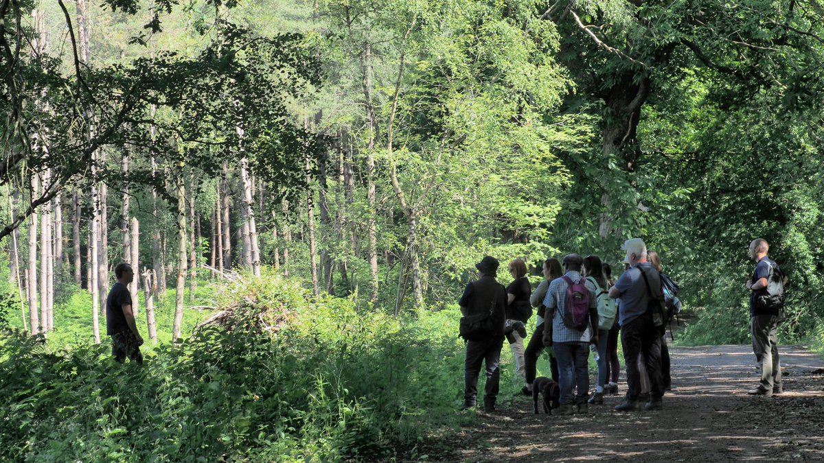 The MF team had a brilliant away day finding out about @CheshireWT beaver project at Hatchmere Nature Reserve and enjoyed the shade of the trees at Delamere Forest with @ForestryEngland 🌳