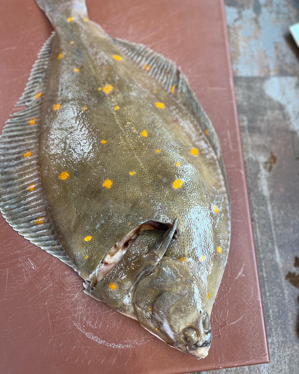 Gareth Chambers tweet media