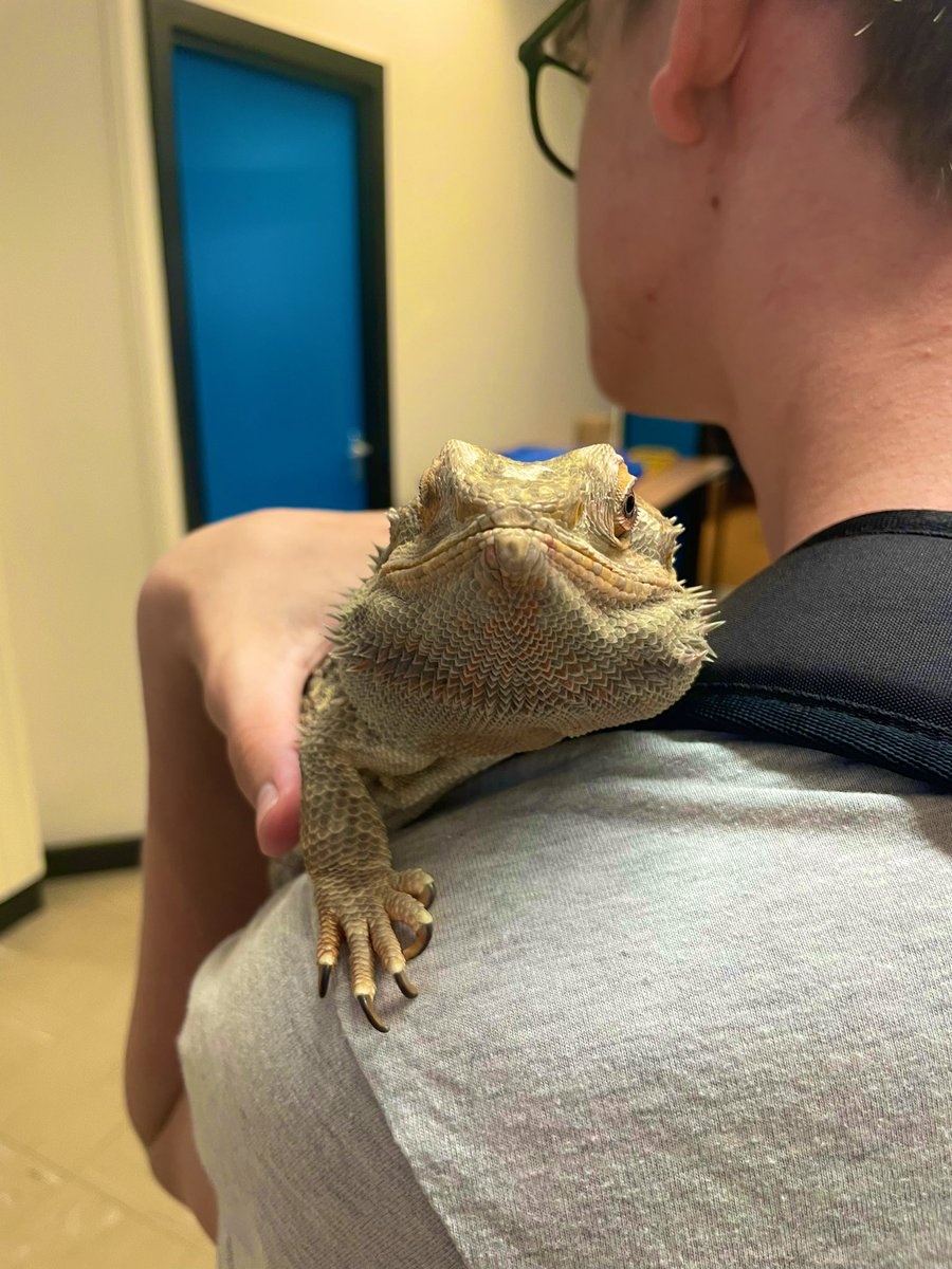 Miss Dodds tweet media