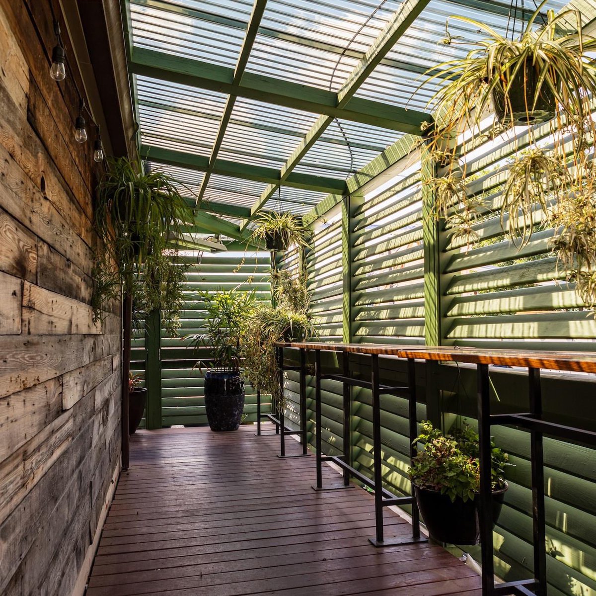 Homestead_Chi's tweet image. Welcome in - We can't wait to serve you! 🌱